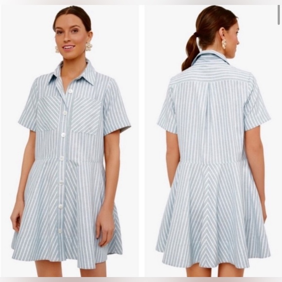Tuckernuck Celadon Green Stripe Meryl Shirt Dress Size Small Flare - Picture 2 of 8